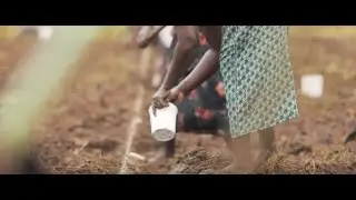 One Acre Fund help even more farmers thrive thanks to SAP Business One