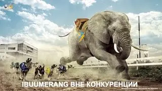 Новая презентация ibuumerang и отличие от booking
