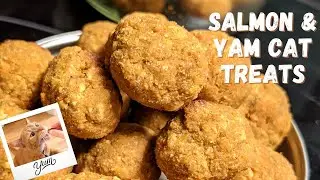 Homemade Salmon & Yam Cat Treats 😺 | Easy & Healthy Recipe | Bake with Me! | Lish the Baker