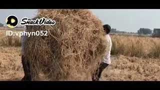 Salam kissan