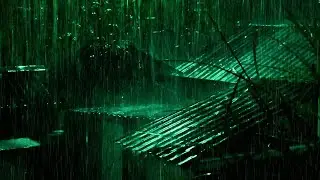 Rain and thunder sounds to help you fall asleep quickly 😪😪😪 Instant sleep, relaxing rain