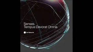 Senses - Cosmic Telemetry