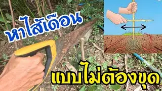 Find earthworms without digging