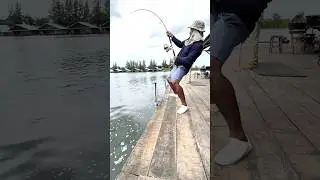 Amazing big fish catching 🎣rod fishing video #fishing #shorts #rodfishing #viral #fish