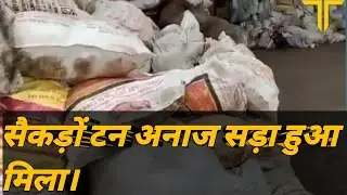 सिरसपुर के दिल्ली राज्य नागरिक आपूर्ति निगम के गोदाम में 2020 का सैकड़ों टन अनाज सड़ा हुआ मिला।