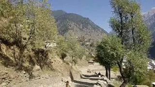#Srinagar Village .