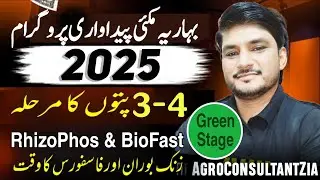 Latest Maize Production Technology | Fertilizer Plan | Biofertilizer Application | #Green_Stage