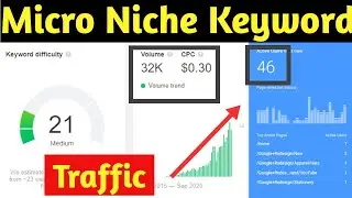 Make More Money With Micro Niche Keywords | Micro Miche Ideas