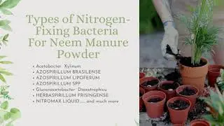 Organic Neem Powder For Healthier Plants| Indogulfbioag | 2021 Gardening| Fertilizer And Manure