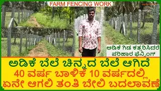 ಅಡಿಕೆ ಗಿಡ ಕತ್ತರಿಸಿದ ಖದೀಮರು ಪರಿಹಾರ ಕಂಡ ಯುವಕ | ತಂತಿ ಬೇಲಿ 40 ವರ್ಷ ಬಾಳಿಕೆ 10 ವರ್ಷ ಸರ್ವಿಸ್ Fencing Work