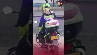 El mejor compa&ntilde;ero de patrulla