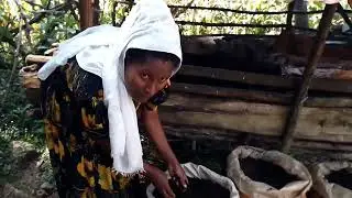 በላይ አርማጭሆ ወረዳ በከርከር ባለእግዚአብሔር ቀበሌ  የቨርሚ ኮምፖስት  ዝግጅት