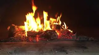Wood fired pizza oven