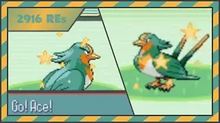 [LIVE] [ISHC 2020 #15] Shiny Swellow [Phase 4] after 2916 REs in Sapphire
