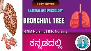 Bronchial Tree In Kannada || Respiratory system || Anatomy & Physiology || Kannada Nursing Classes