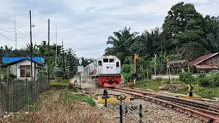 Kereta Api Sribilah Rasa KA Putri Deli - Kembalinya Berjalan Kereta Api Sribilah Fakultatif
