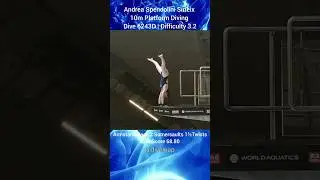 Masterful Dive in Women's Diving by Andrea Spendolini Sirieix