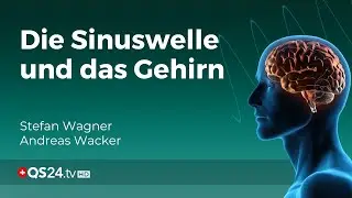 Sinuswelle: Neue Einsichten in die Wirkung bei neurologischen Erkrankungen | QS24