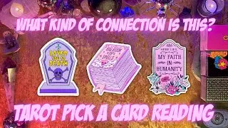 ✨What Kind of Connection Is This?✨ Tarot Pick a Card Love Reading