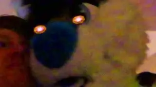WHEN KIWI FOX IS UPSET