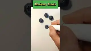 Coloring || Blueberry Sketch marker pen drawing #blueberry #shorts #youtubeshorts #viral
