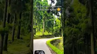 kaal ho na ho #love #bollywood #song #travel #travelindia #nature #darjeelingsightseeing #explorenow