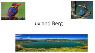 Berg and Lux - The Kingfishers