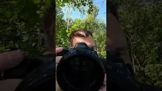 how much Megapixels human eyes have ?