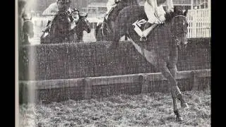What a Buck wins 1975 SGB Chase tv commentary
