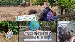 We Went To Chester Zoo!