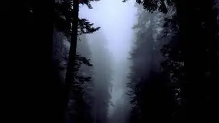 Dark Descent -  Music Composed by James Waymont