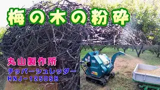 チッパーシュレッダー(丸山製作所　HNJ-1250SB)粉砕の様子