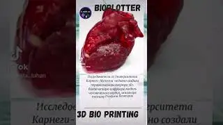 3D BIO printing #3d #bioprinting #in-the-world-of-IT #technoblog #bioplotter #вмиреит #в-мире-ИТ