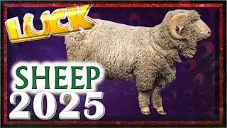 Sheep Horoscope 2025 | Luck | Born 2015, 2003, 1991, 1979, 1967, 1955, 1943, 1931