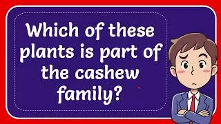 Which of these plants is part of the cashew family?