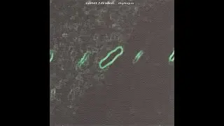 Zoviet France &ldquo;Digilogue&rdquo; 1996 Soleilmoon (reissue: 2022 Vinyl on Demand)