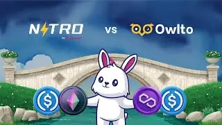 Bridge Battle: Router Nitro vs Owlto