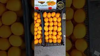 Цитрусы из Абхазии