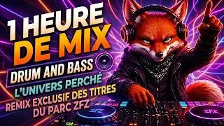 Drum and Bass ZFZ – Un univers perché en 60 minutes