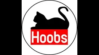 minecraft java hoobs live