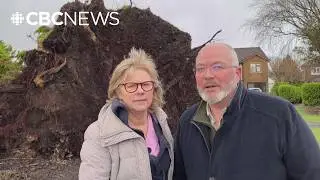 Severe North Atlantic storm &Eacute;owyn leaves a third of Ireland without power