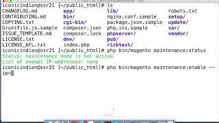 Magento2 Tutorials - Maintenance Mode Commands For Magento2