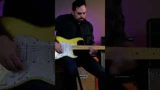 David Levi