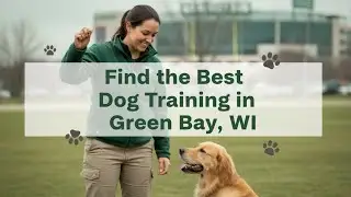 Find the Best Dog Training in Green Bay Wisconsin