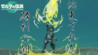 【ゼルダの伝説TotK】聖杯戦争　セイバー陣営#2