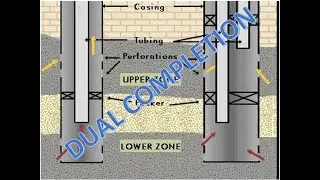 DUAL COMPLETION / TRAINING