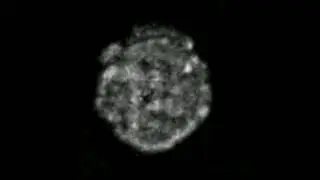 Chromatin movie   ABF