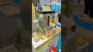 FXP-66S Papaya Peeling Test with Fruit Peeling Machine | Automatic Papaya Peeler Demonstration