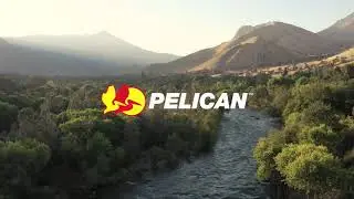 Novidade - Peli Air Travel Cases