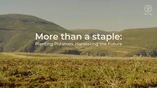 More than a staple: planting potatoes, harvesting the future (short version)